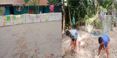 মিধিলির তাণ্ডব: বাড়ির উঠানেই বীজতলা করলেন ইউপি সদস্য
